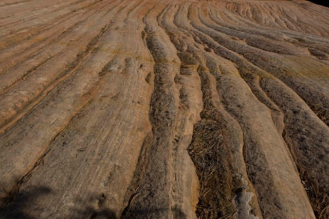 Rock Waves